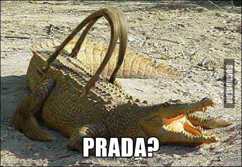 Viitoare geanta din crocodil Prada?