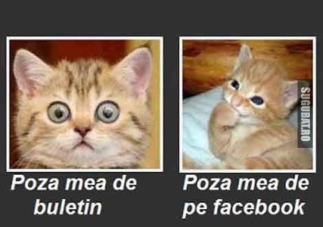 Poza de buletin vs Poza de pe Facebook