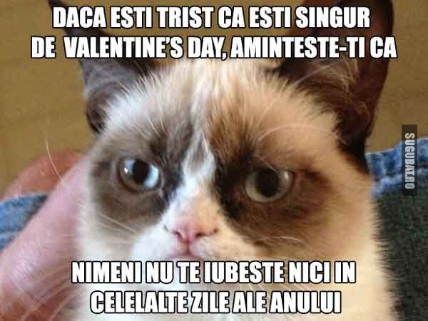 [Image: imagini-amuzante-poze-haioase-grumpy-cat...anului.jpg]