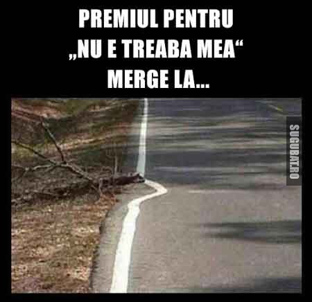 Premiul pentru NU E TREABA MEA merge la...