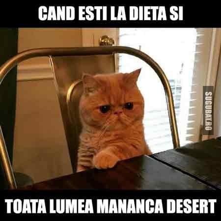 Cand esti dieta si toata lumea mananca desert