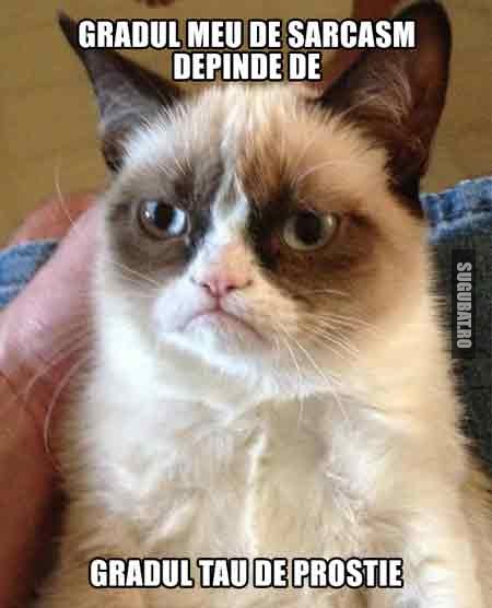 Grumpy Cat: Gradul meu de sarcasm depinde de