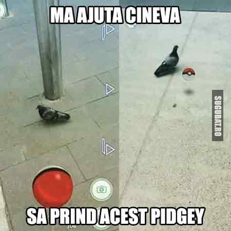 Ma ajuta cineva sa prind acest Pidgey #PokemonGo