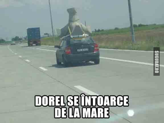 Dorel se intoarce de la mare