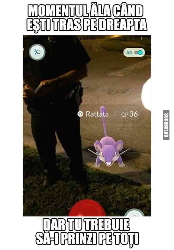 Momentul ala cand esti tras pe dreapta, dar tu trebuie sa-i prinzi pe toti #PokemonGo