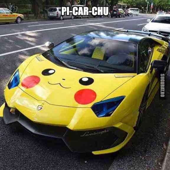 Ai vrea si tu un Pi-car-chu? (Pokemon)