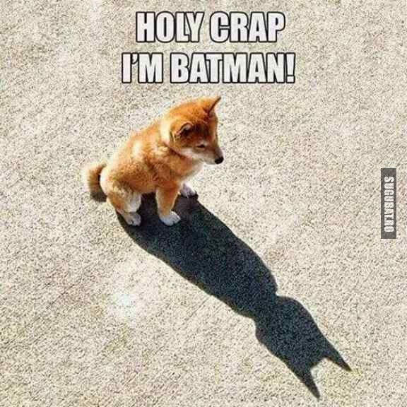 Oauu...sunt Batman :))