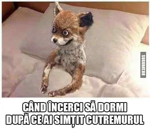 Cand incerci sa dormi dupa ce ai simtit cutremurul