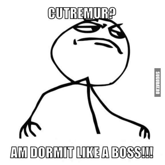 Cutremur? Am dormit Like a Boss!