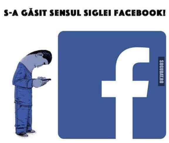 Sensul siglei facebook.