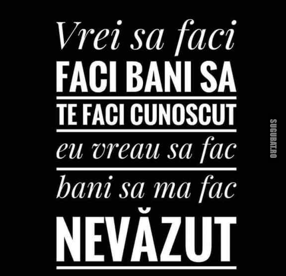 Vrei sa faci bani sa fii nevazut!