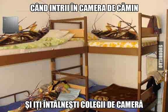 Momentul ala cand iti cunosti colegii de camera in camin