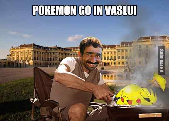Pokemon Go in Vaslui