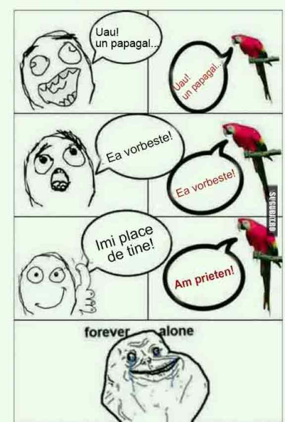 Cand ai certitudinea ca vei fi forever alone