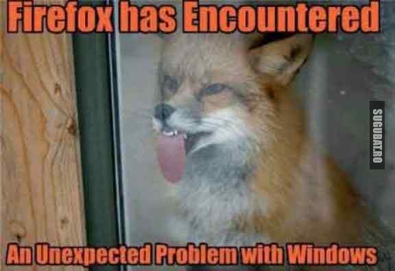 Cand Firefox intampina o problema