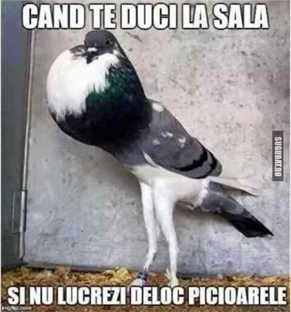 Cand te duci la sala si nu lucrezi deloc picioarele