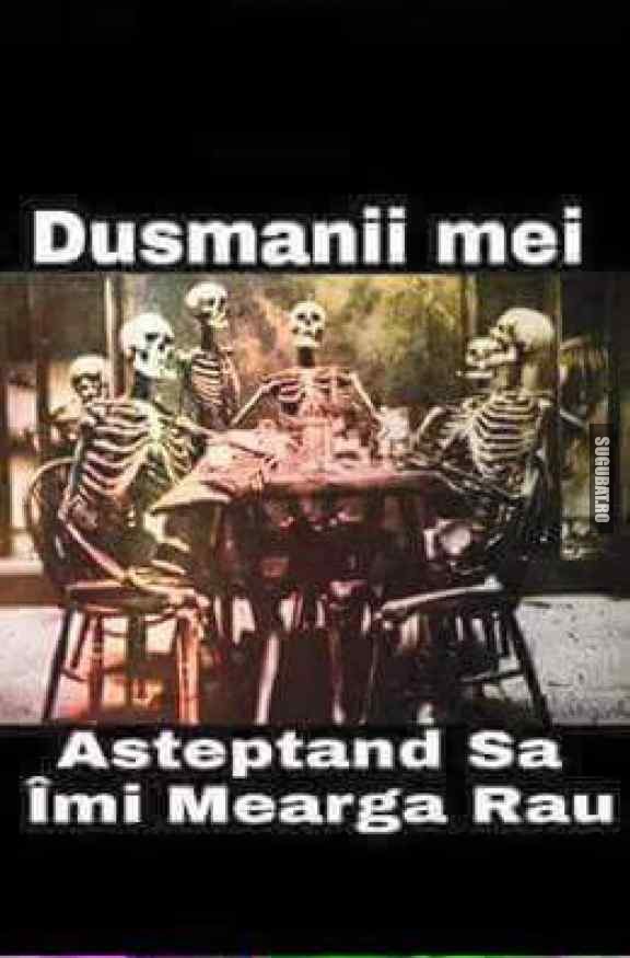 Dusmanii mei asteptand..:))