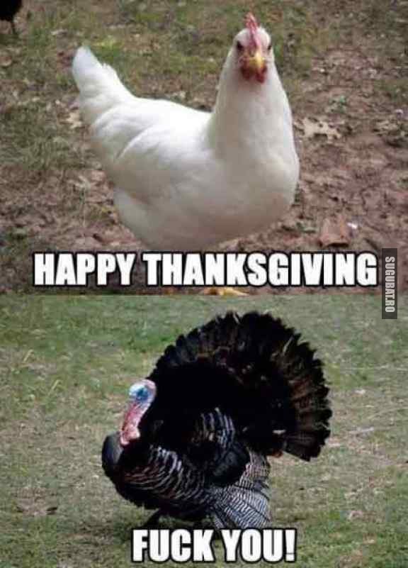 Happy Thanksgiving :)