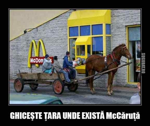 Oare in ce tara te duci cu caruta la McDrive?