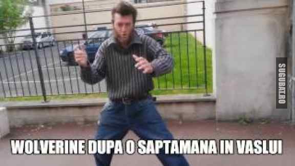 Wolverine dupa o saptamana in Vaslui