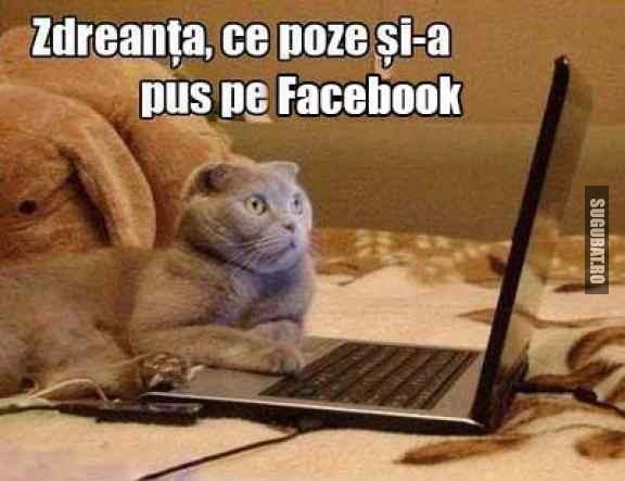 Zdreanta, ce poze si-a pus pe Facebook