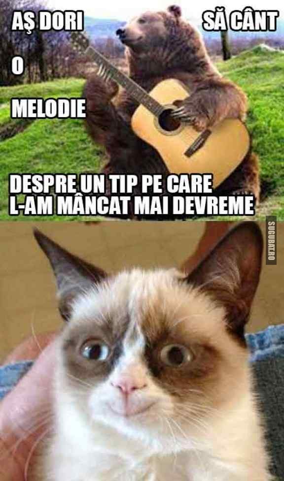 As dori sa cant o melodie (Grumpy Cat)