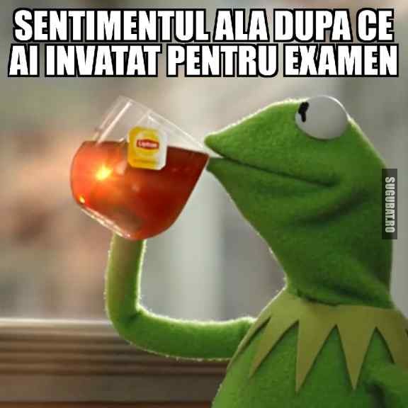 Cand stii ca ai invatat pentru examen