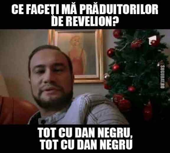 Ce Faceti Ma Praduitorilor De Revelion Poze Haioase Imagini