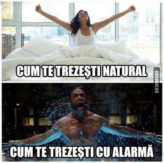 Cum te trezesti natural VS. Cum te trezesti cu alarma