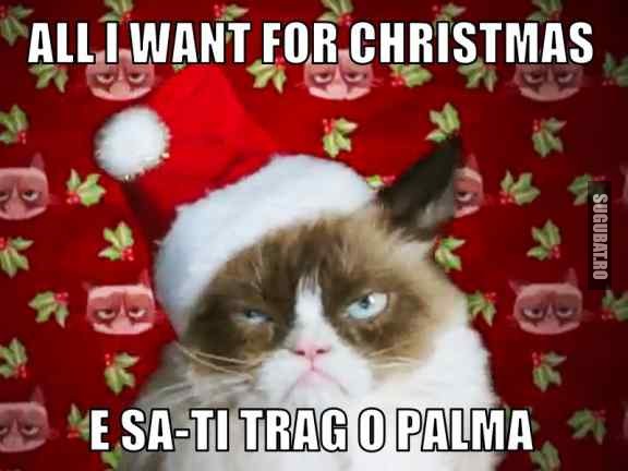 Grumpy Cat: All I want for Christmas