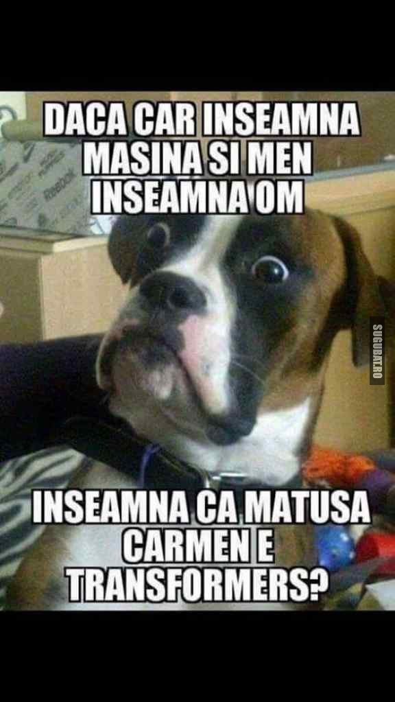 Asta Fac In Fiecare Seara Poze Haioase Imagini Amuzante Meme