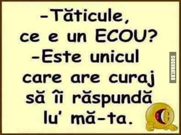 Taticule, ce e un Ecou?