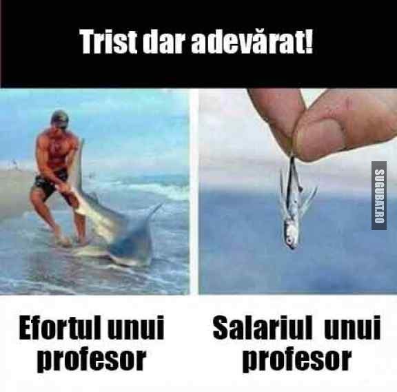 Efortul unui profesor in comparatie cu salariul lui