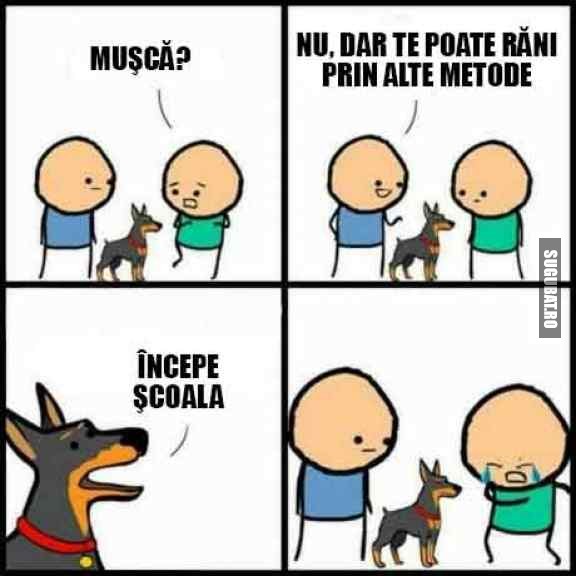 Musca? Nu, dar incepe scoala