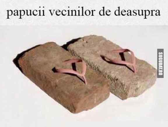 Papucii vecinilor de deasupra