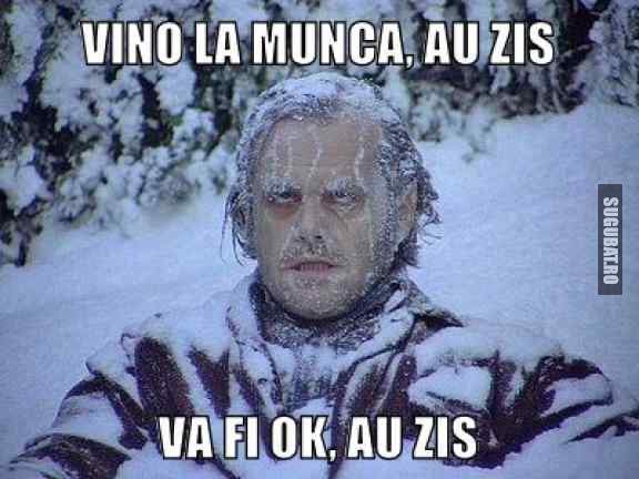 Vino la munca, au zis