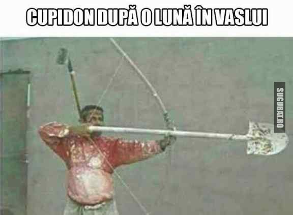 Cupidon dupa o luna in Vaslui