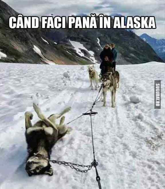 Cand faci pana in Alaska