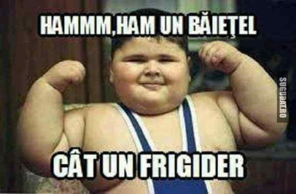 Ham un baietel cat un frigider