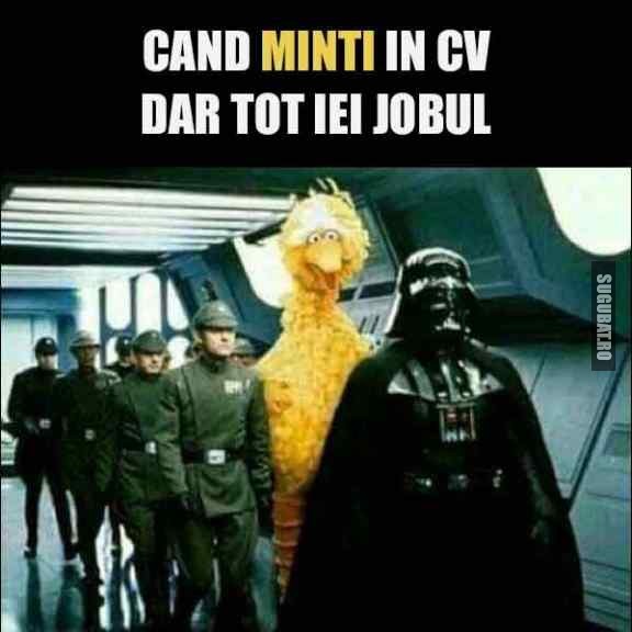 Cand minti in CV, dar tot iei jobul