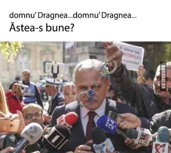 Domnu Dragnea, astea-s bune?