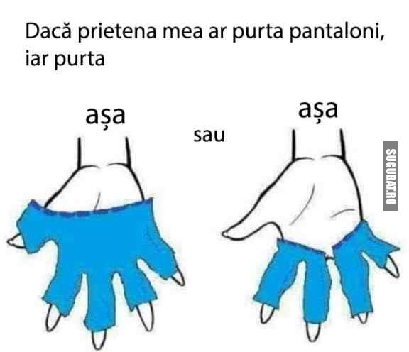 Daca prietena mea ar purta pantaloni