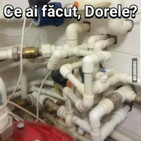 Ce ai facut, Dorele?