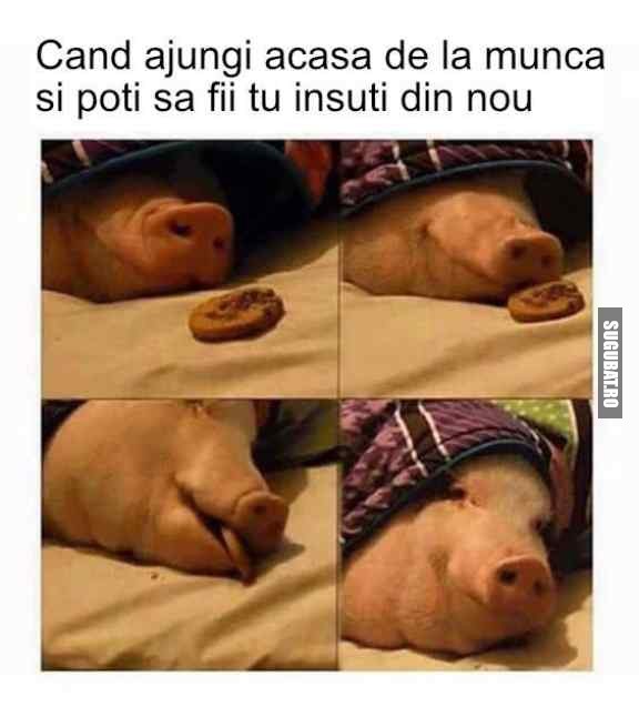 Cand ajuni acasa de la munca