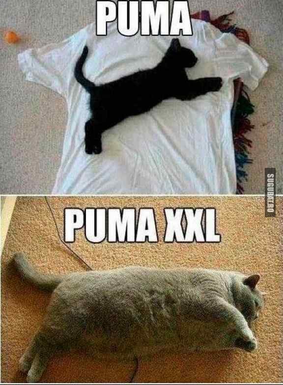 Puma XXL ca ti-e bun si la anu