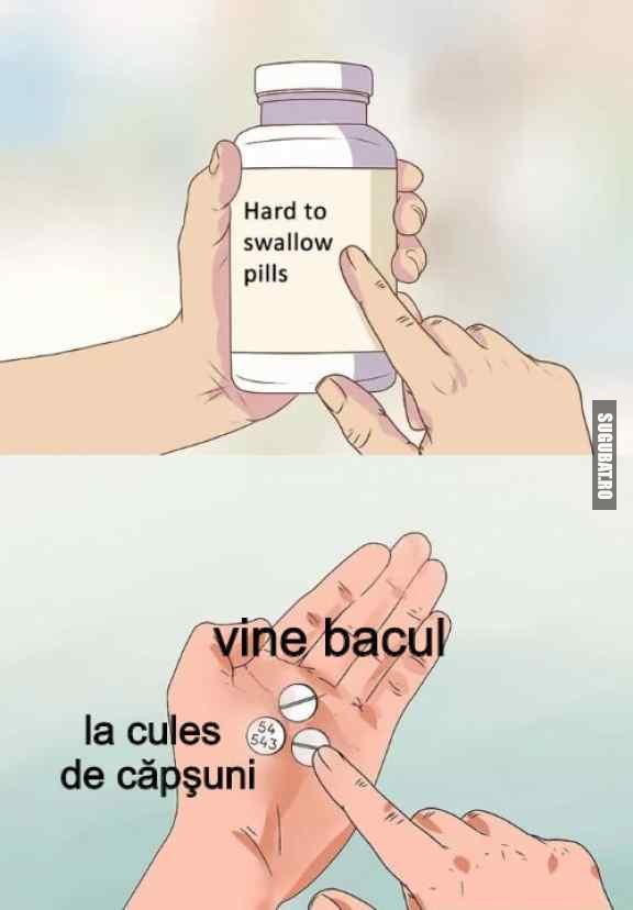 BAC-ul si culesul de capsuni vin la pachet anul asta