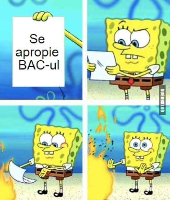 Cum tratez eu responsabilitatile in viata #BAC