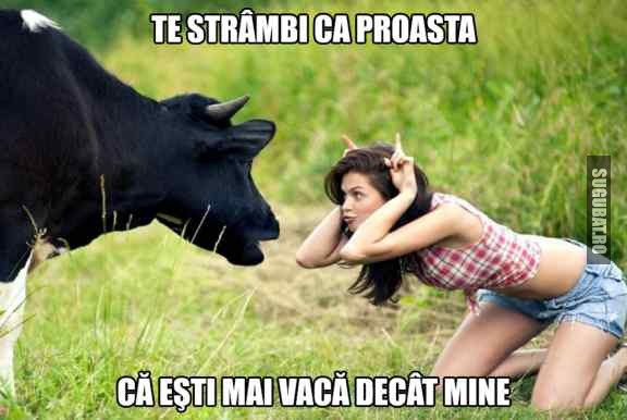 Cand esti mai vaca decat vaca