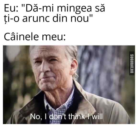 Când se prinde câinele că îl fraierești