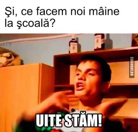 Exact ce vom face tot anul 😎 #scoala